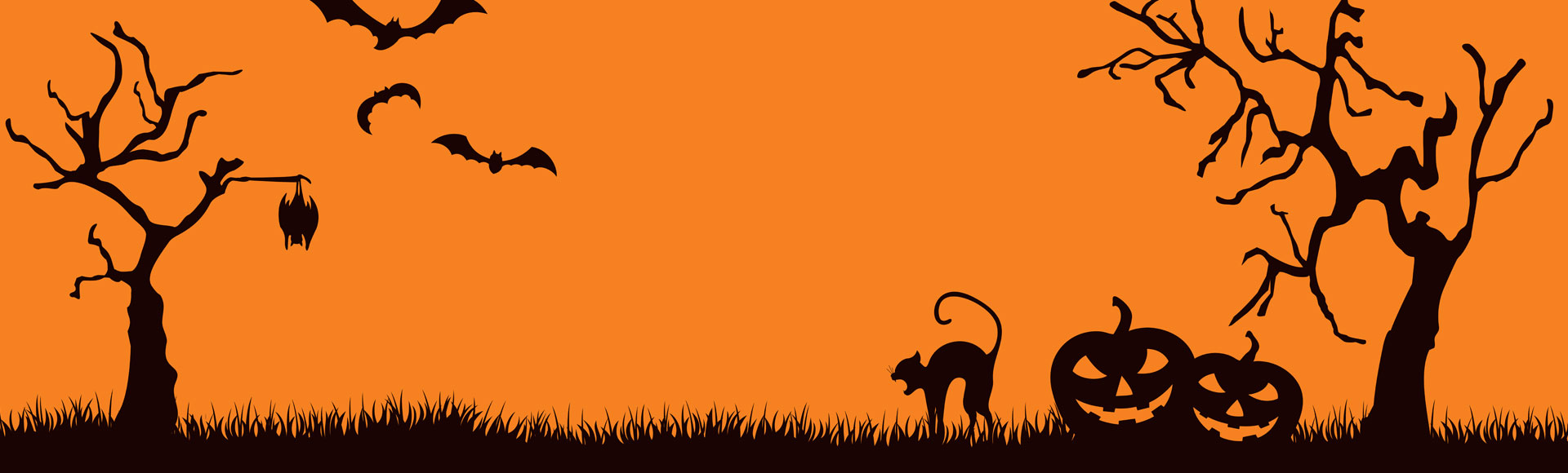 Spooky-Auto_Internal-Header-SO-2025